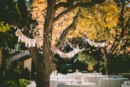 Backyard Wedding, wedding planning, wedding decor