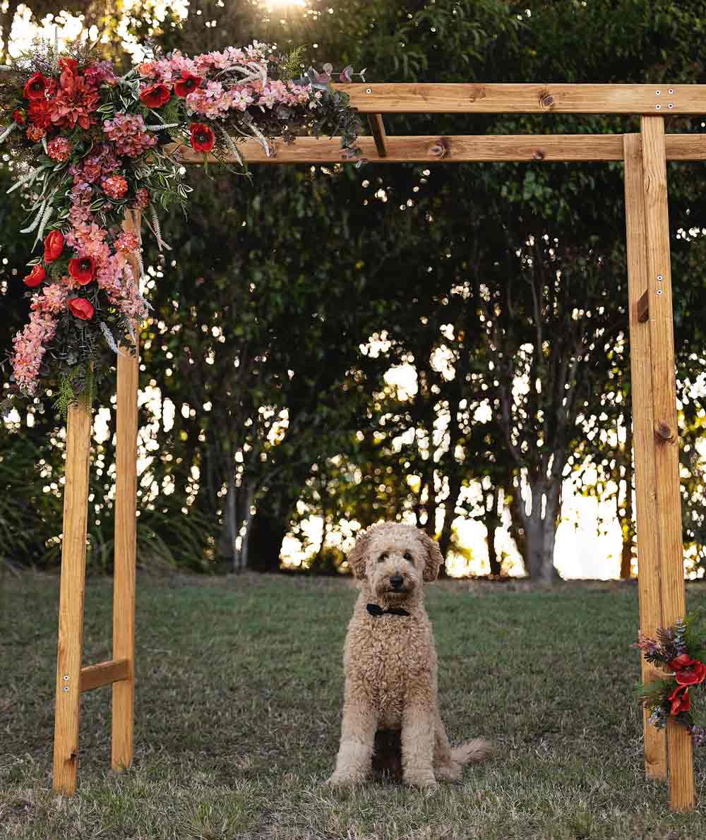Artificial flower arches for your wedding. Somewhere pretty to take a picture of your favourite fur baby