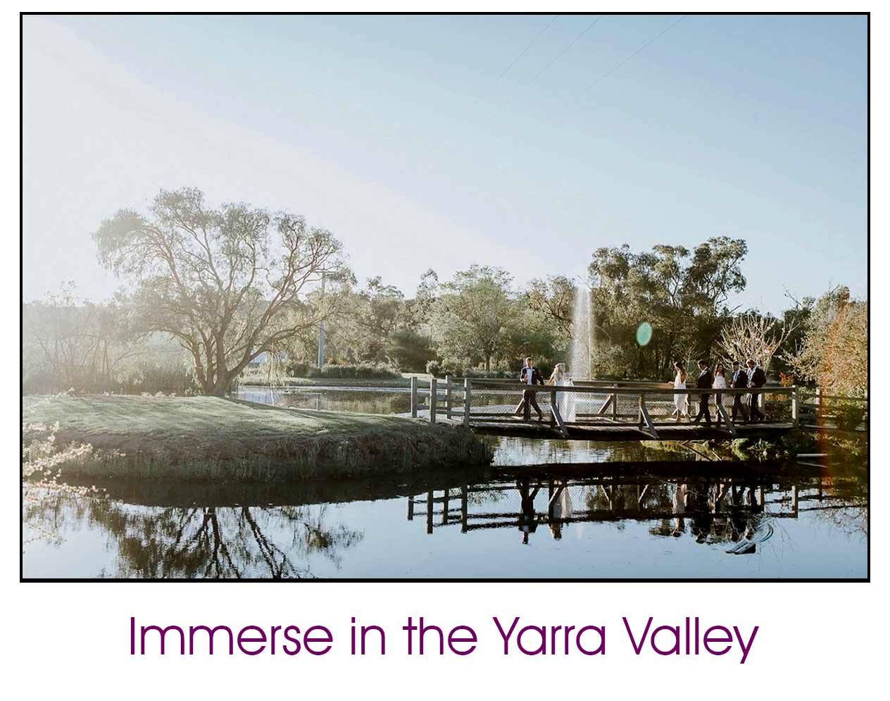 Immerse In the Yarra Valley