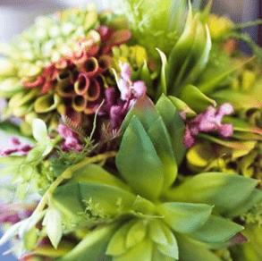 Wedding flowers, succulents, succulent bouquet, bouquet